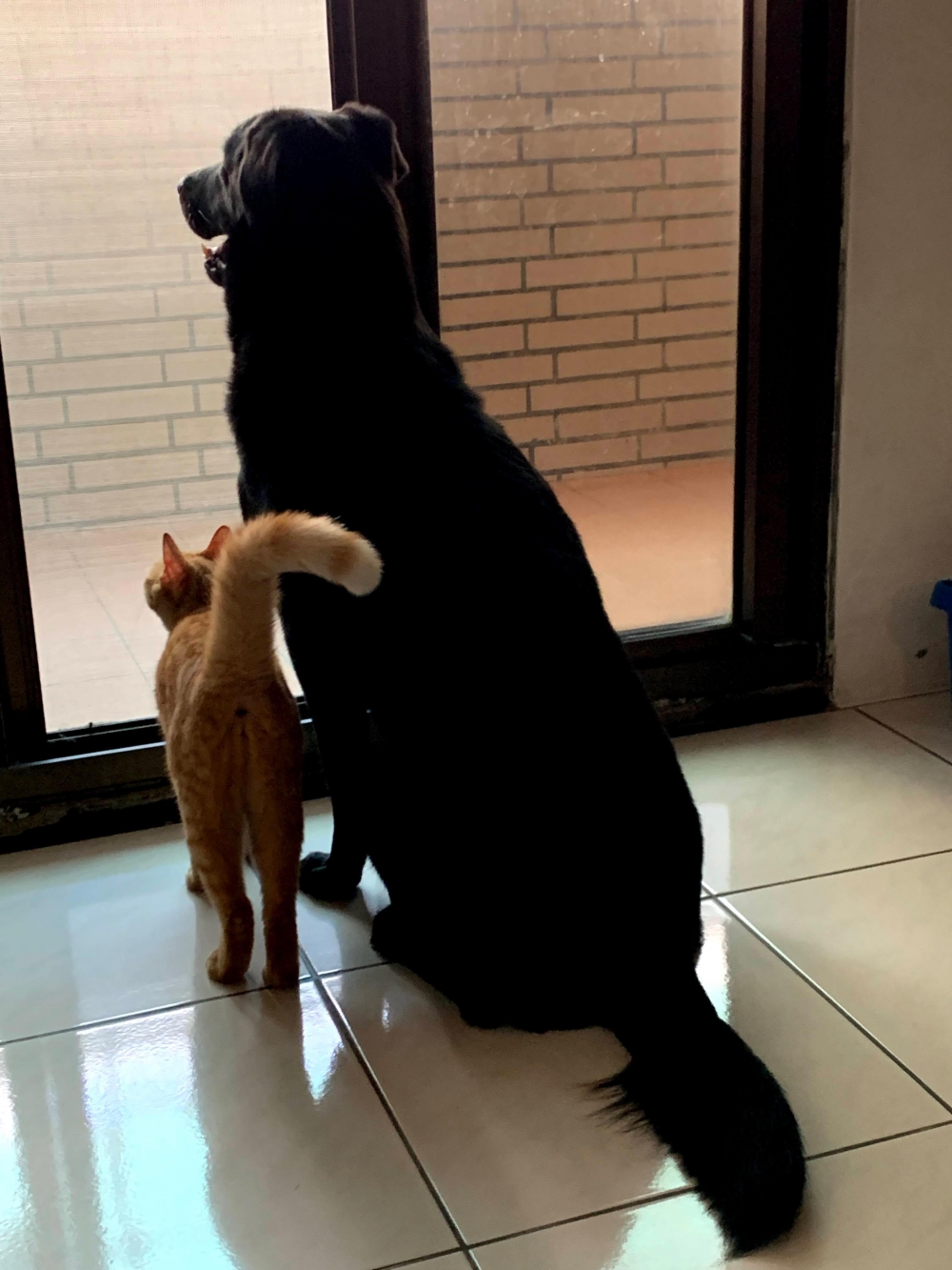 網友緒娟小姐提供