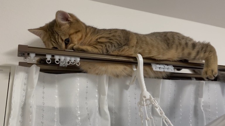 twitter minira_diary