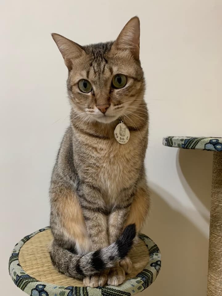 網友陳郁文小姐提供