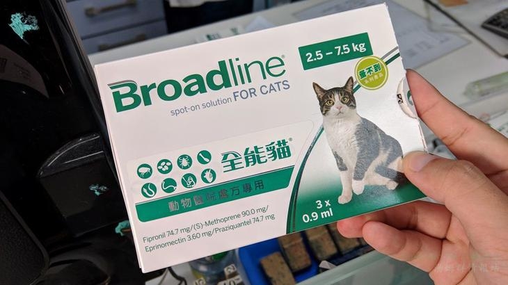 貓內外驅蟲藥 不出門也要定時驅蟲 7 種常見貓咪驅蟲藥統整清單 Catcity 貓奴日常