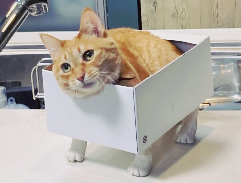 twitter @SHAKEhizi_BSK 