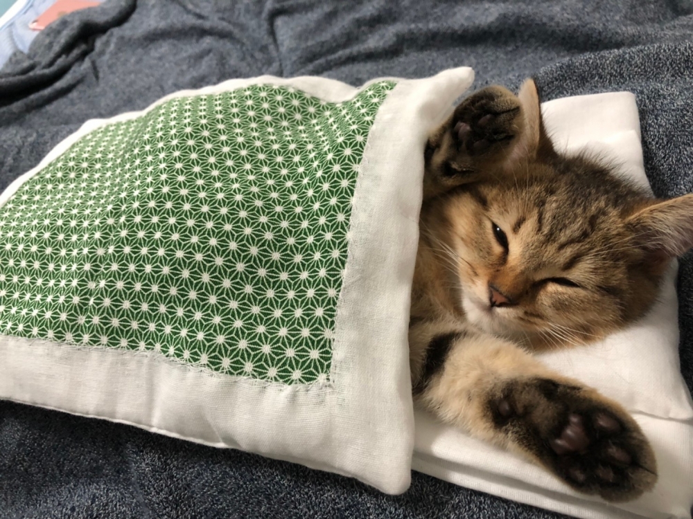 twitter minira_diary