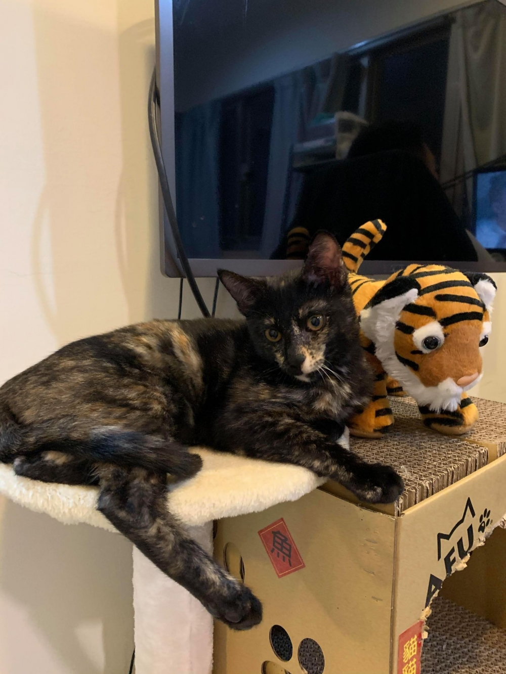 網友鐘心妤小姐提供