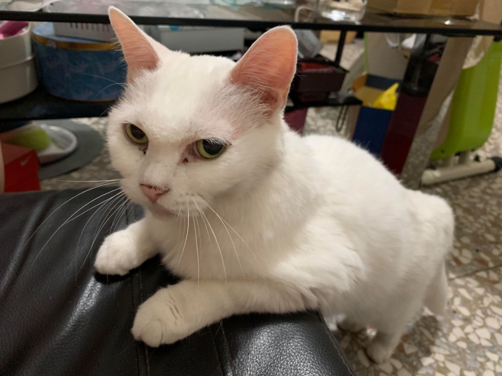 網友Mini Emilyn提供