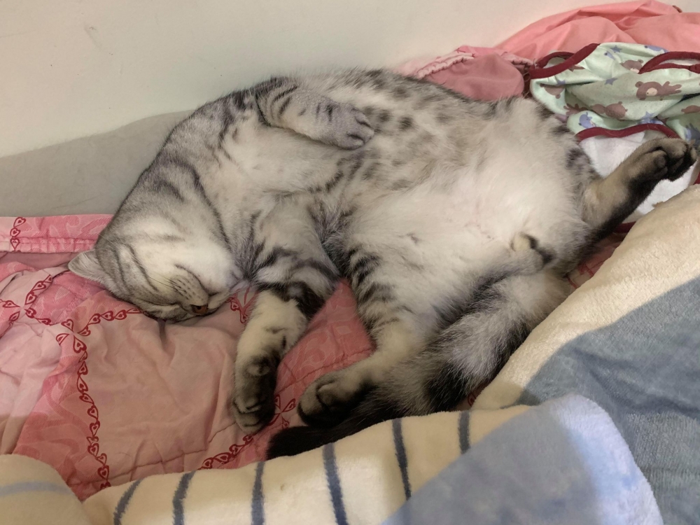 網友劉小惠提供