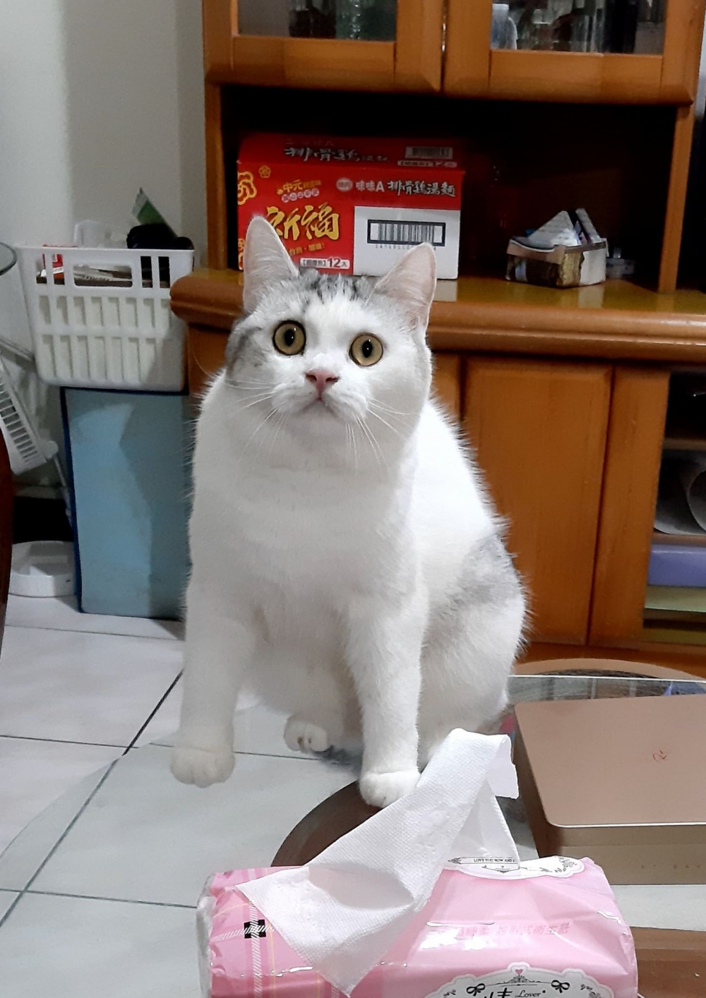 網友簡柳柳提供