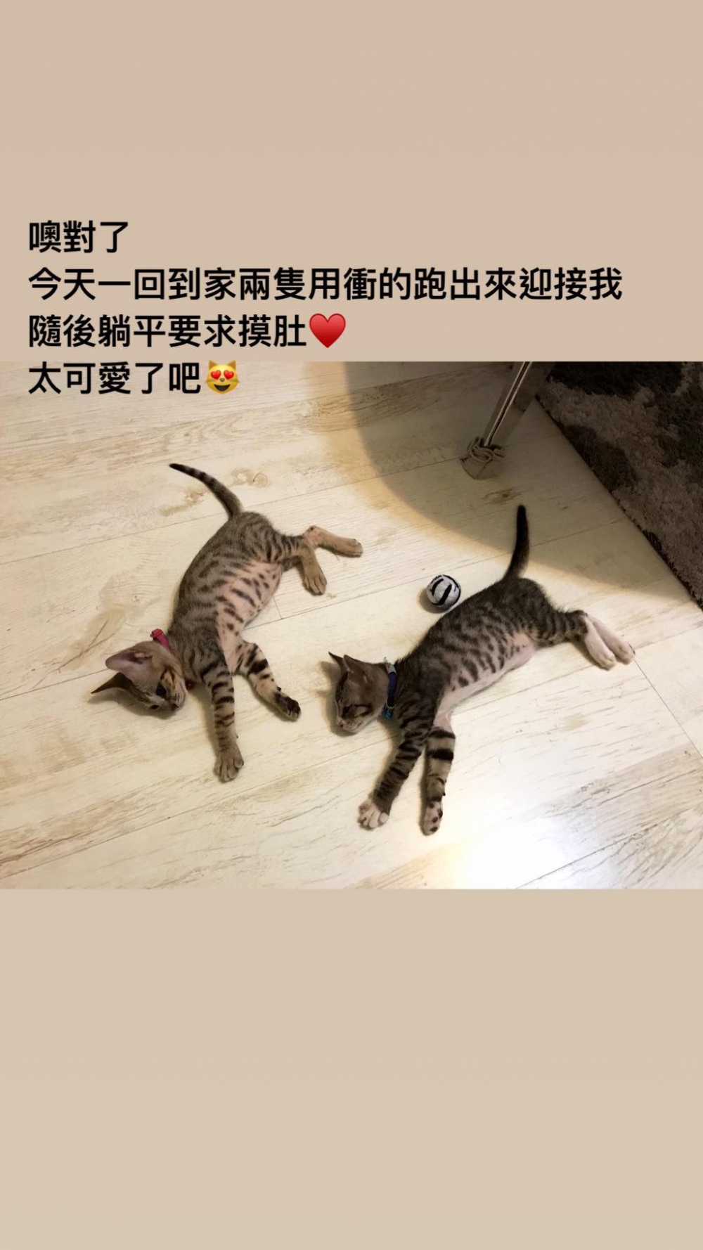 網友Bu Bu小姐提供
