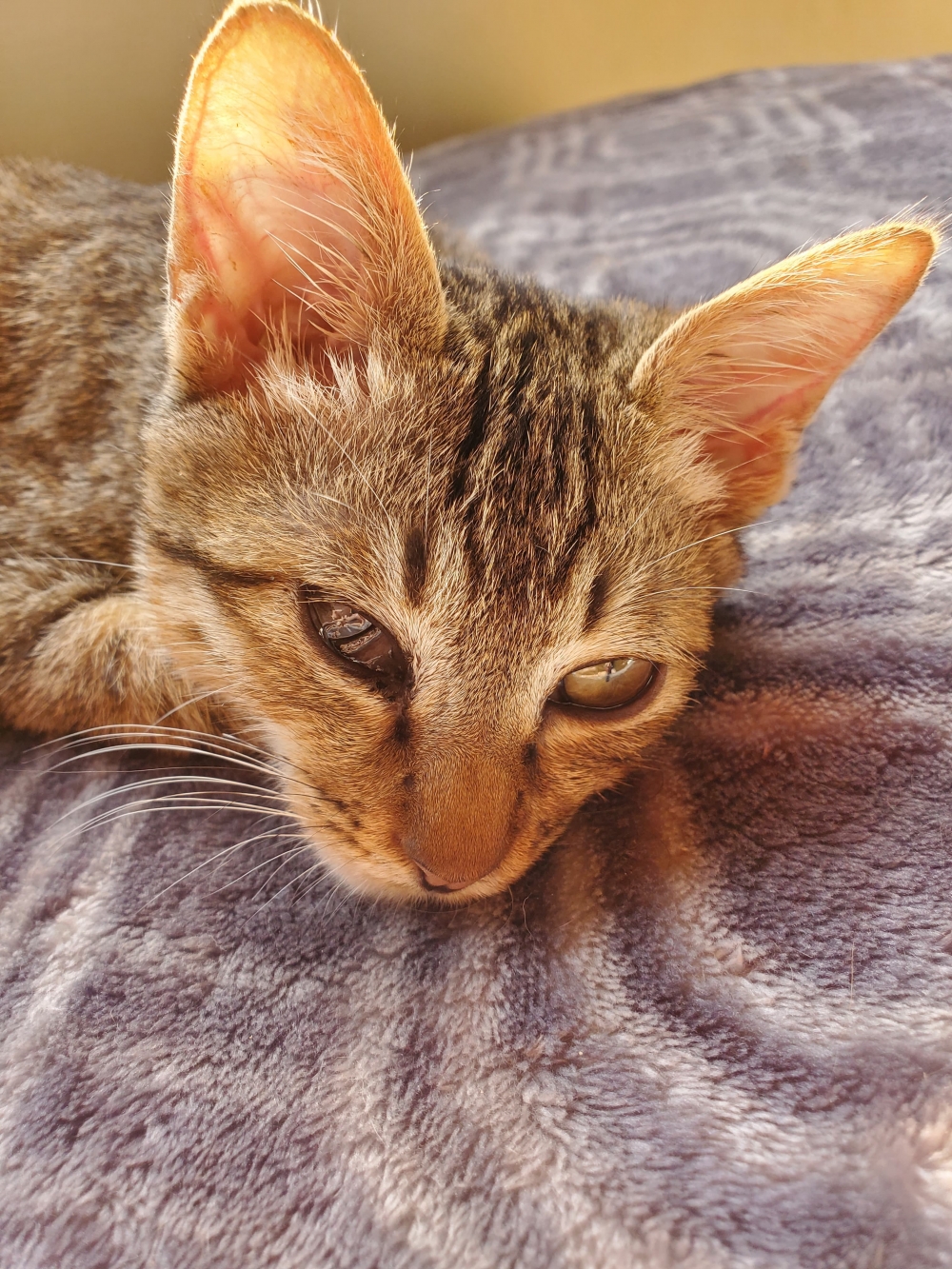 網友Lin Ruo Chiao提供