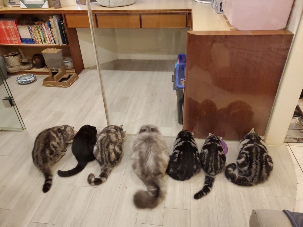 網友謝學廣先生提供