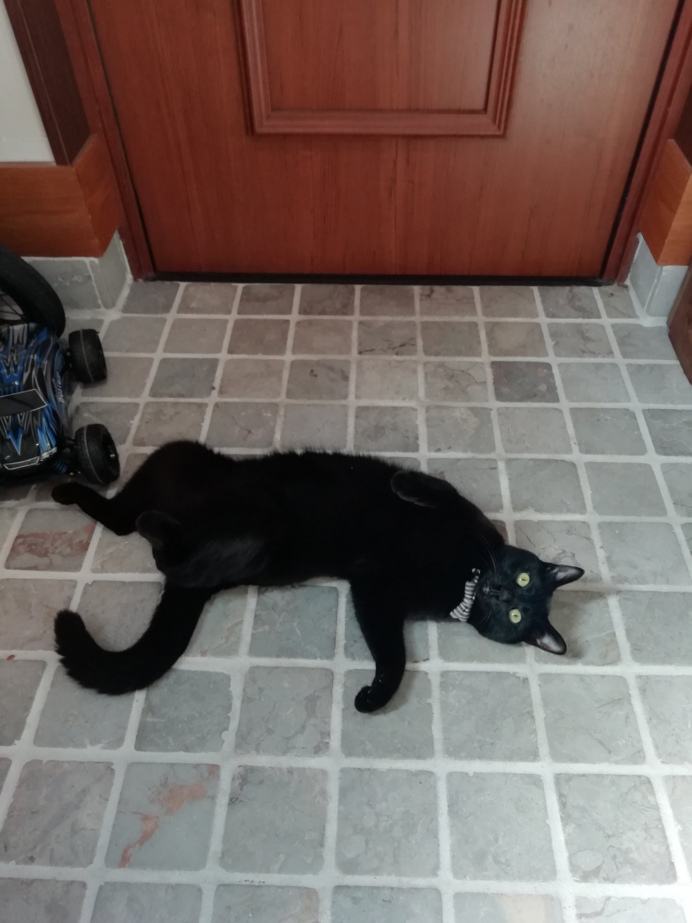 twitter gumi_gumi3484