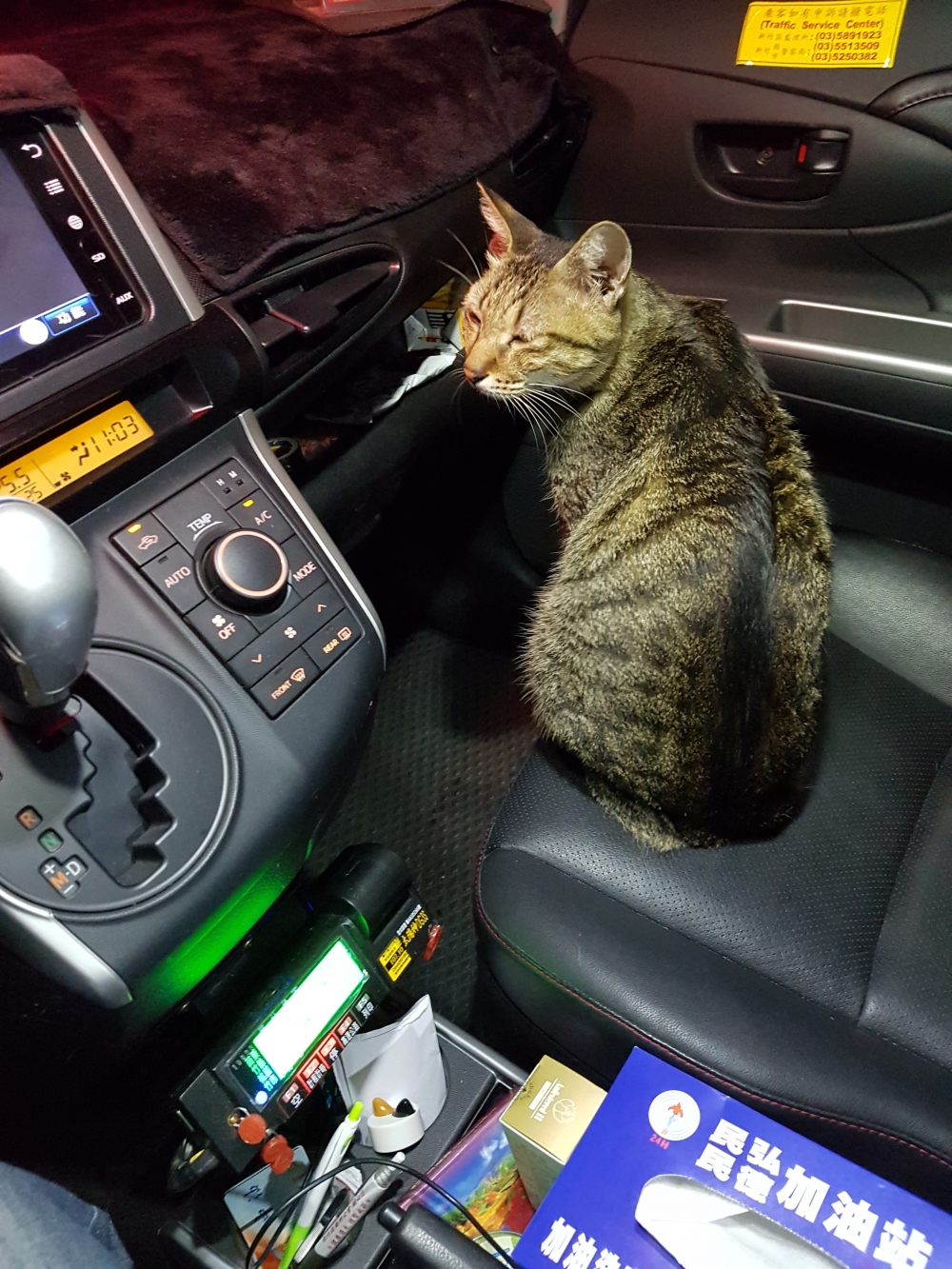 網友彭先生提供