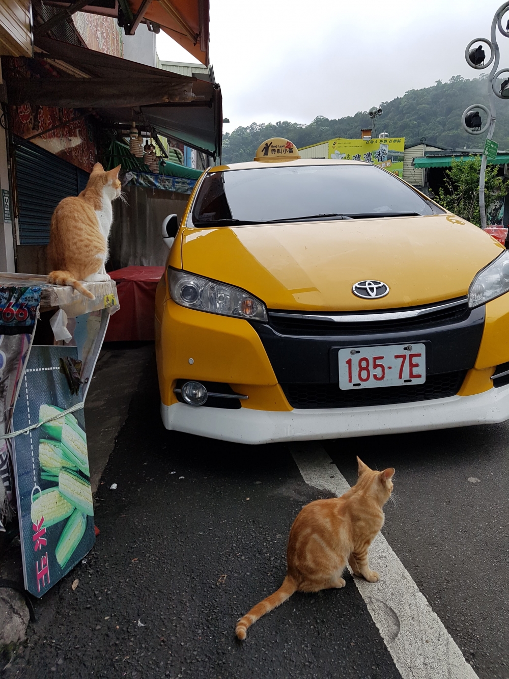 網友彭先生提供