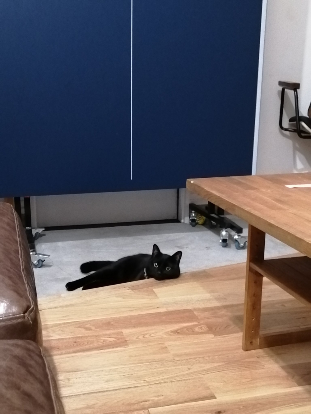 twitter gumi_gumi3484