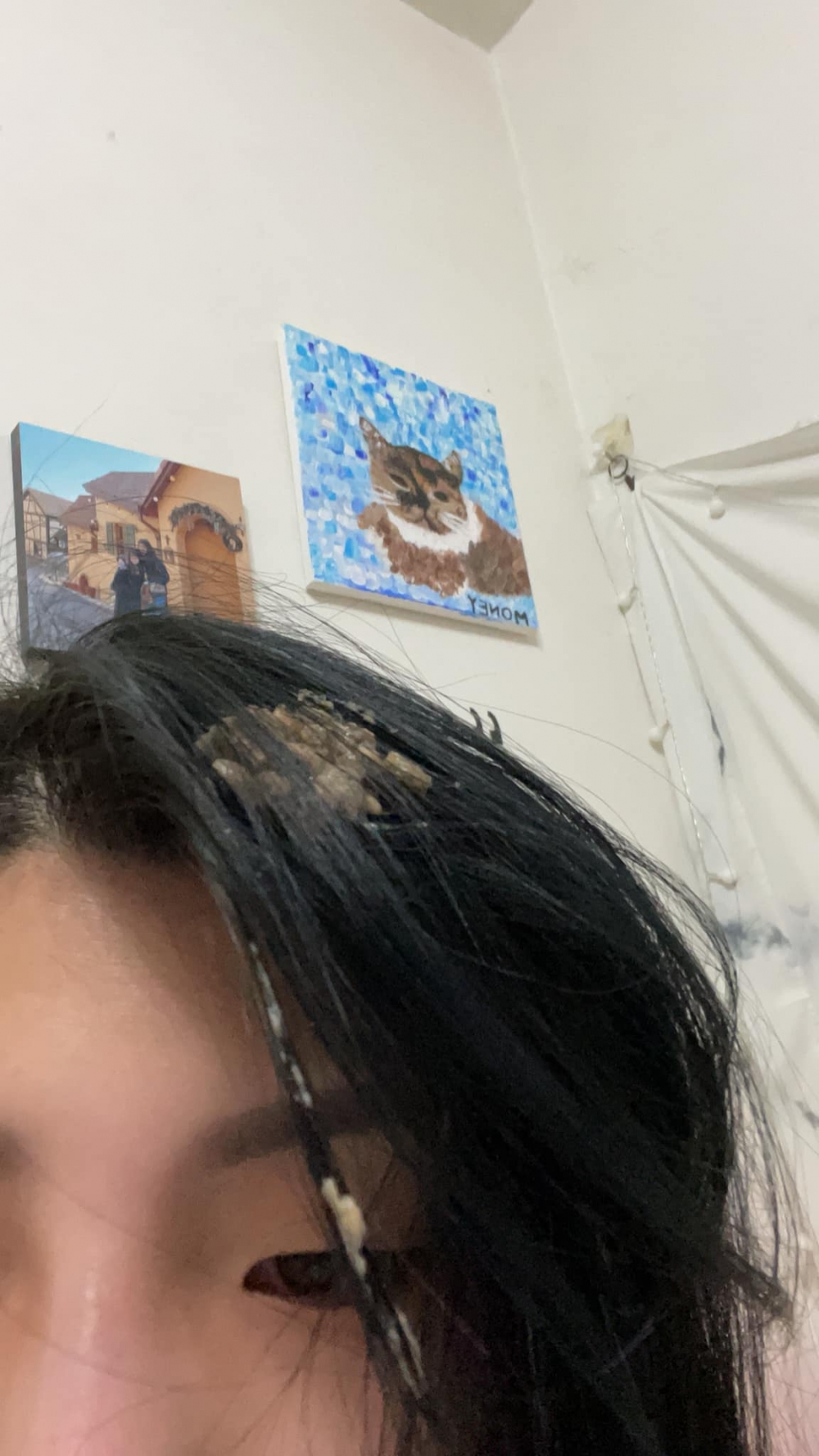 網友鄭婷予小姐提供