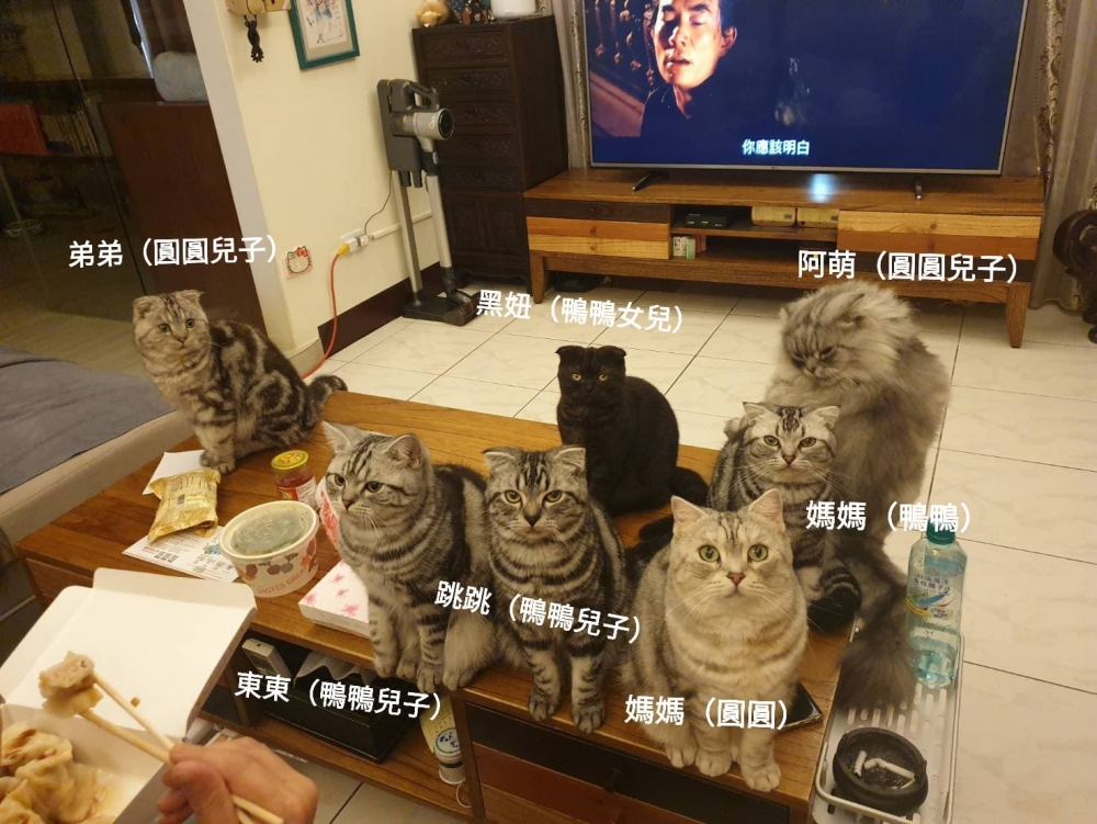 網友謝學廣先生提供