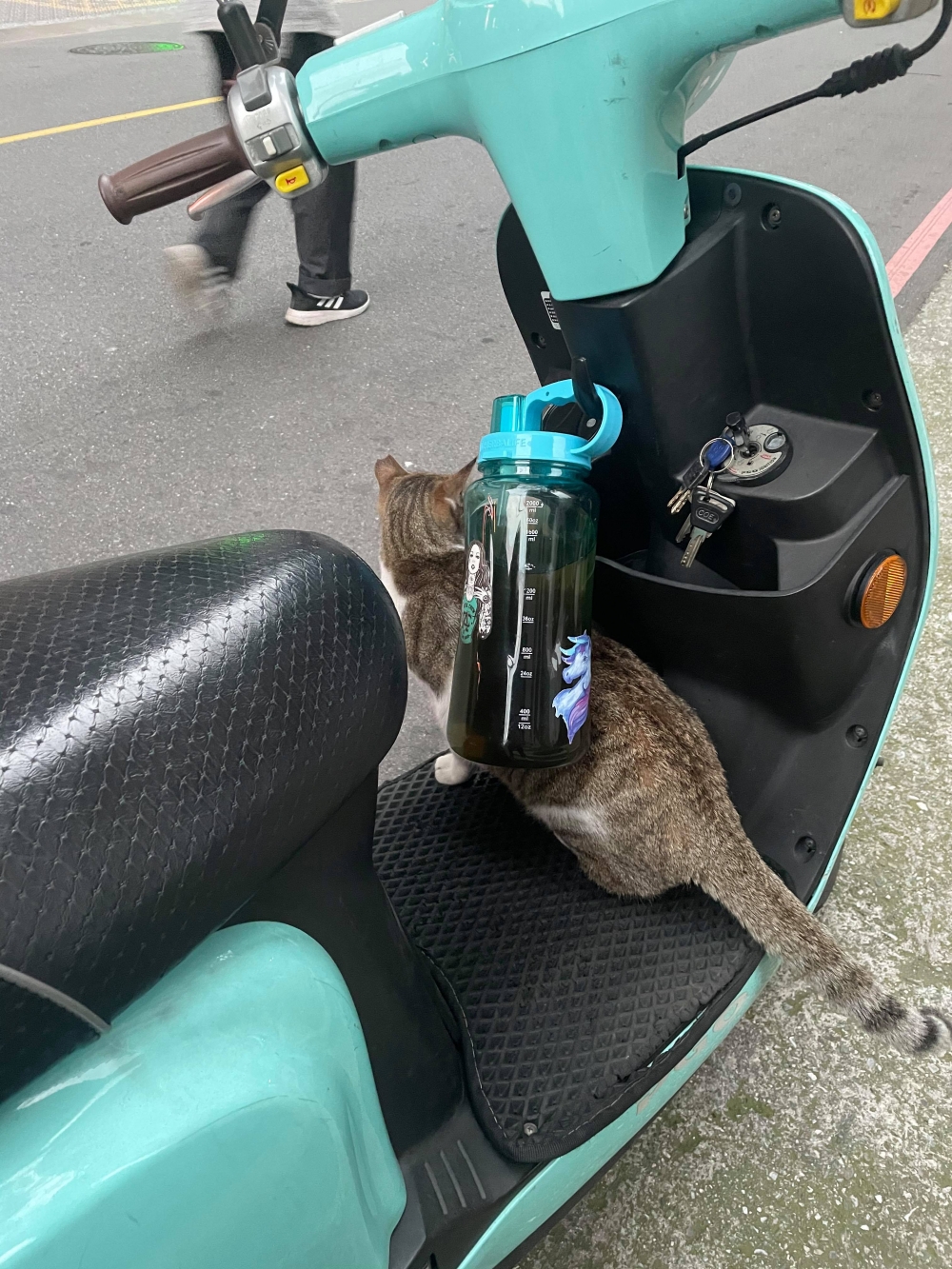 Ig mn92305250 授權使用