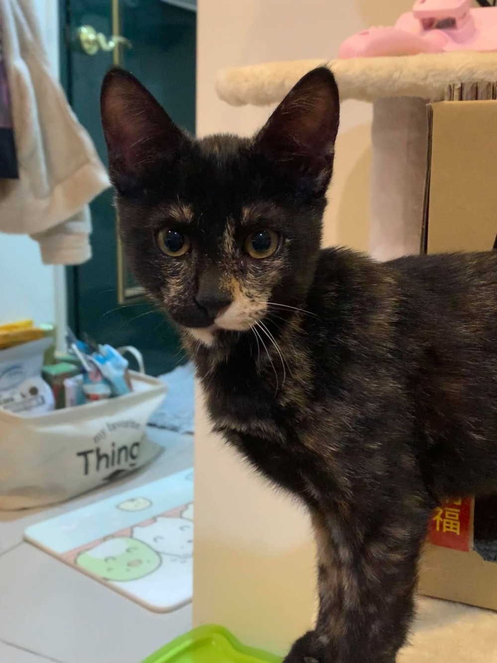 網友鐘心妤小姐提供