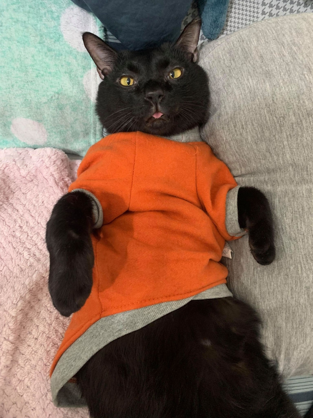 網友Hazel Yang提供