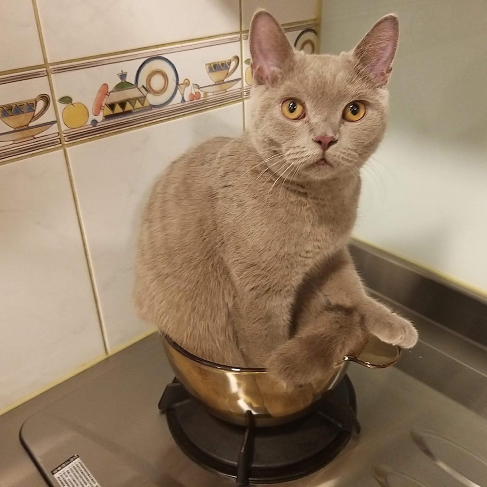 IG @diam0nd112