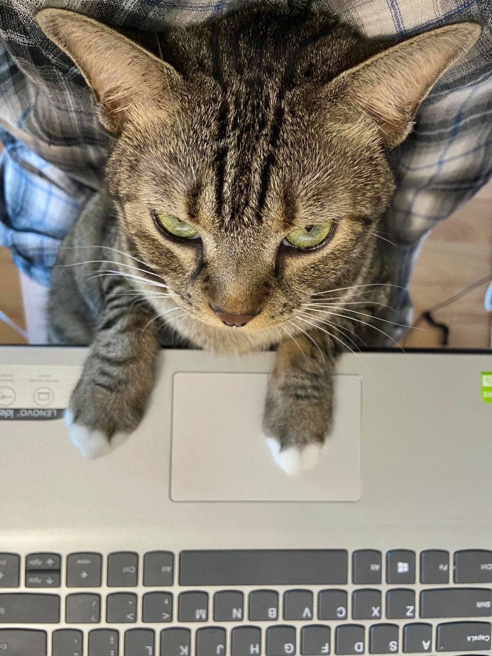 網友Calbee Li提供