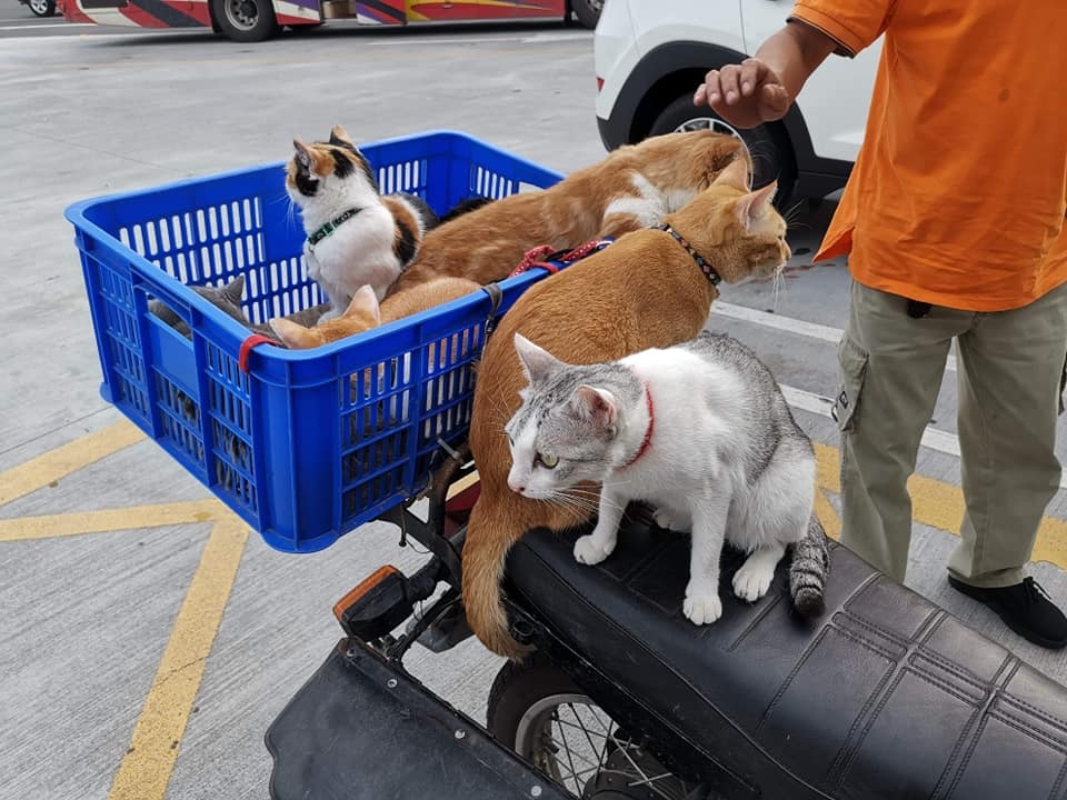 網友張志華先生提供