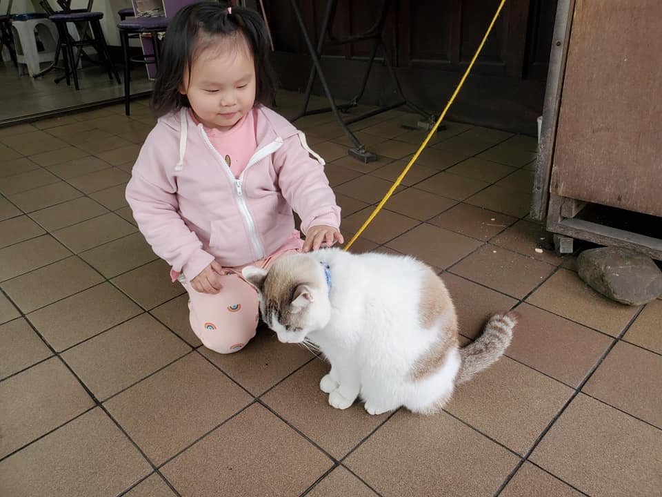 網友鍾宏玠先生提供