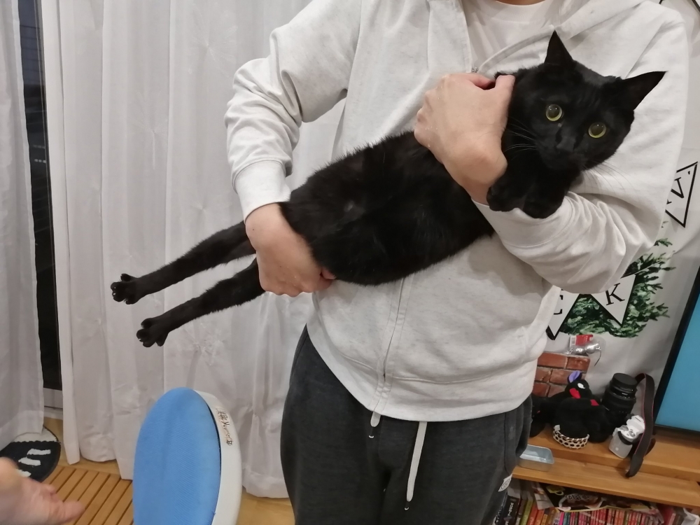 twitter gumi_gumi3484