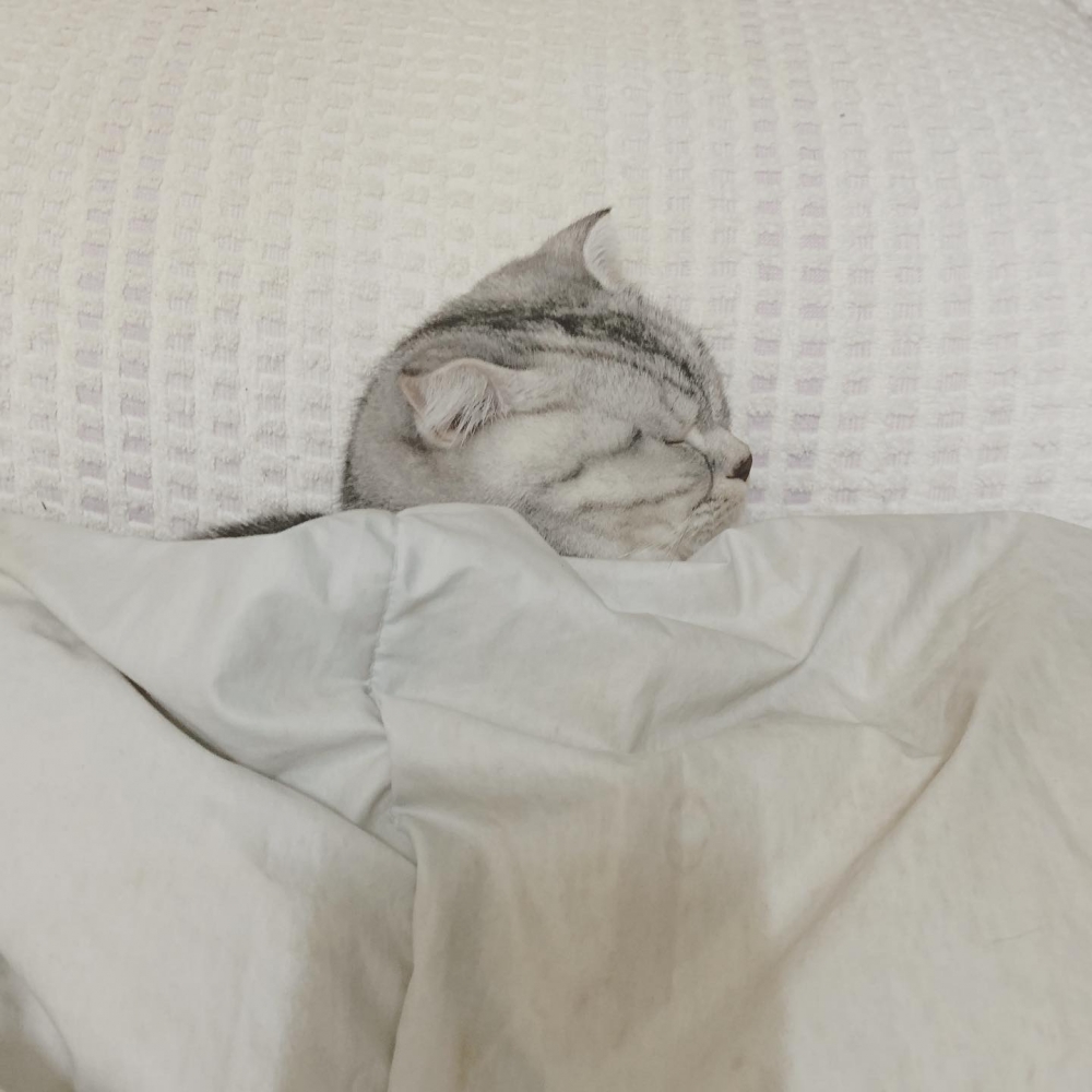 網友劉小惠提供