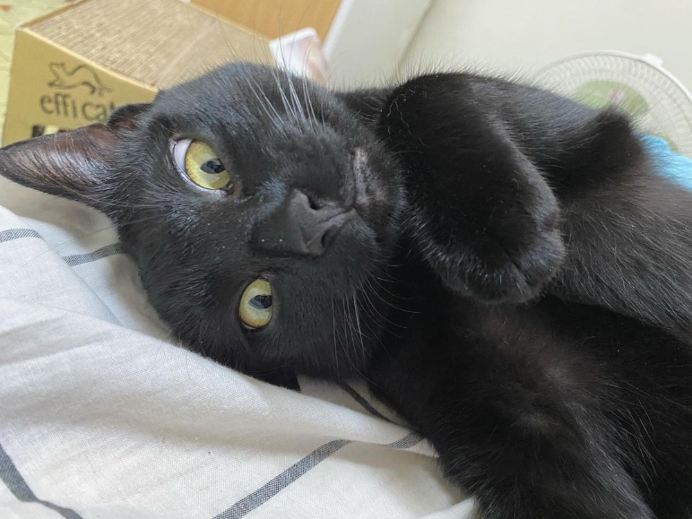 網友林尚瑩小姐提供