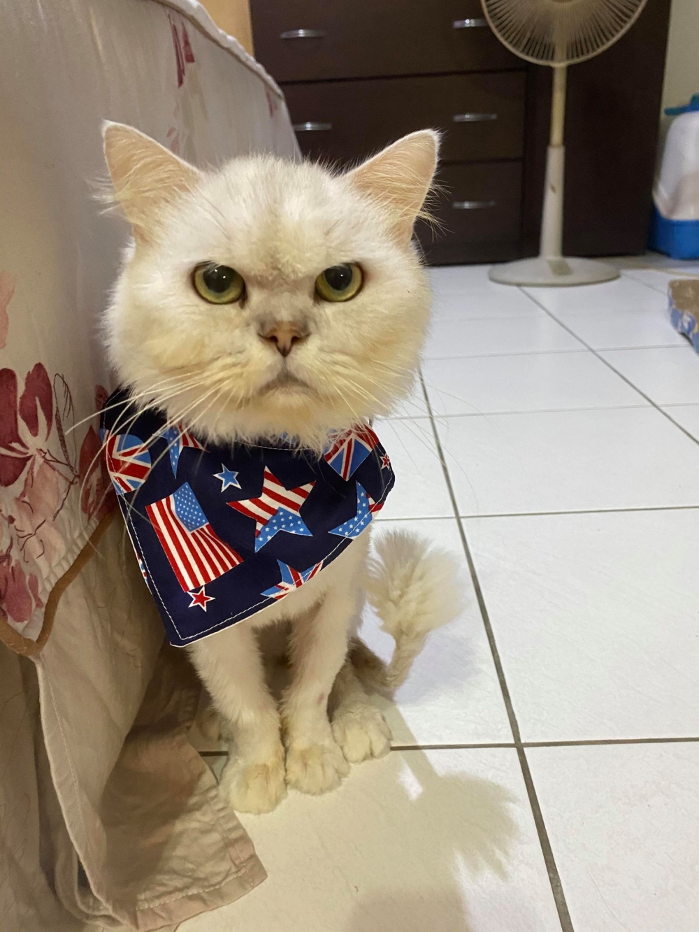 網友鄭樂慈小姐提供