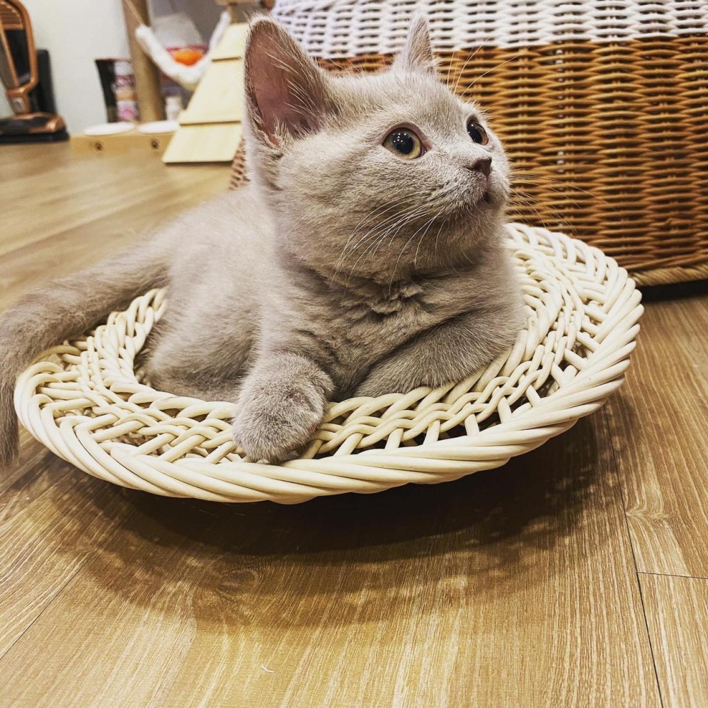 IG @diam0nd112