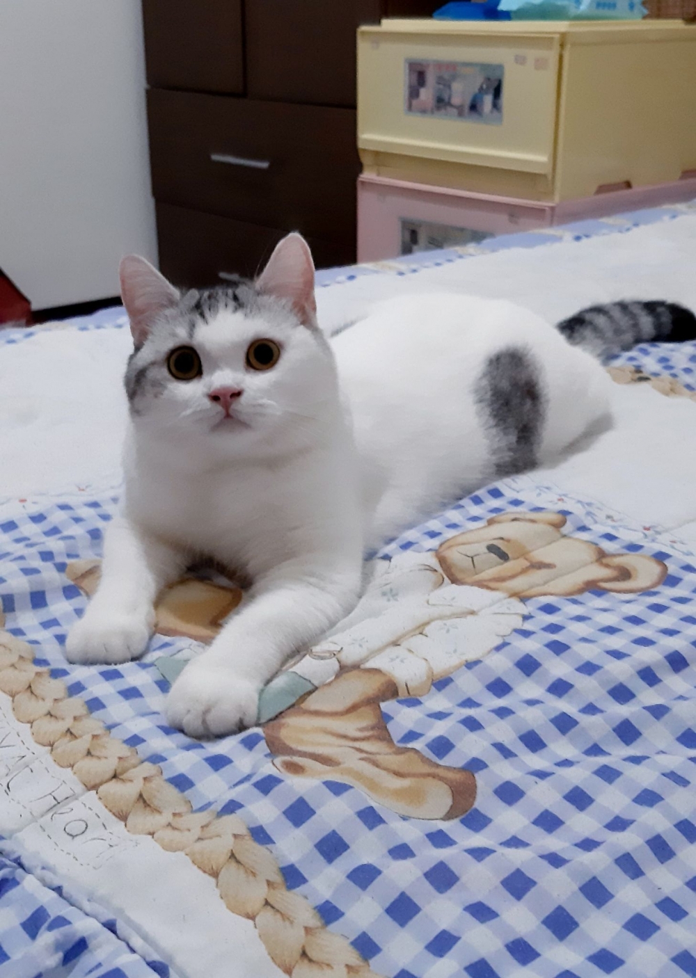 網友簡柳柳提供