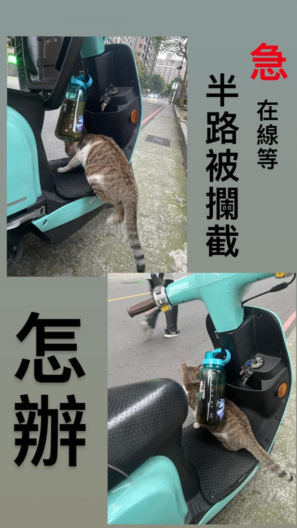 Ig mn92305250 授權使用