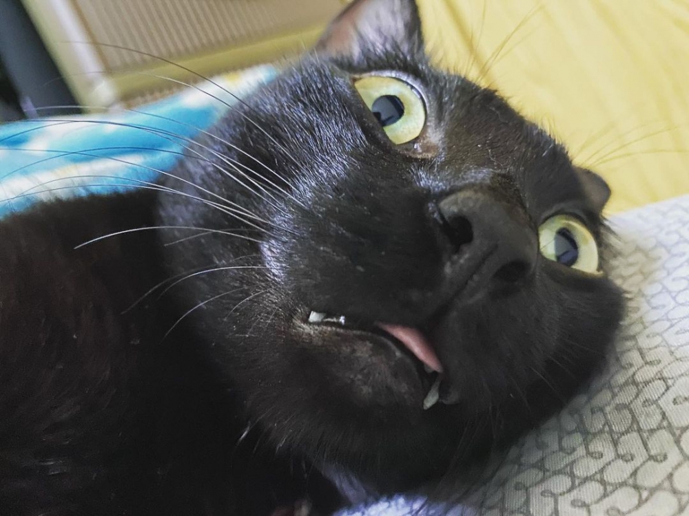 網友林尚瑩小姐提供