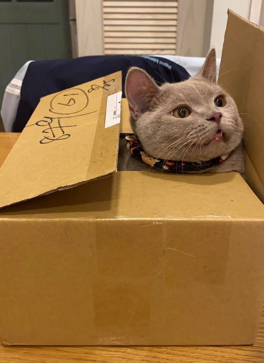 IG @diam0nd112