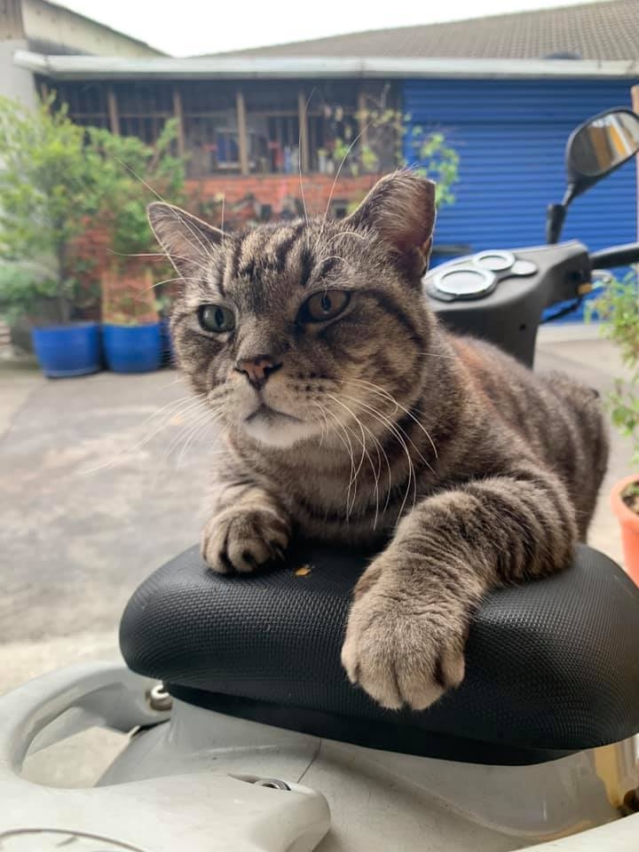 網友林佳欣小姐提供