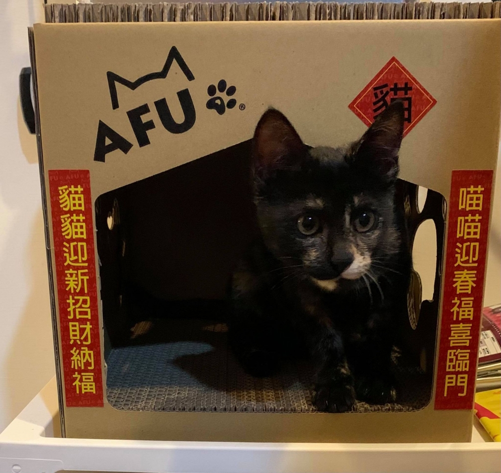 網友鐘心妤小姐提供