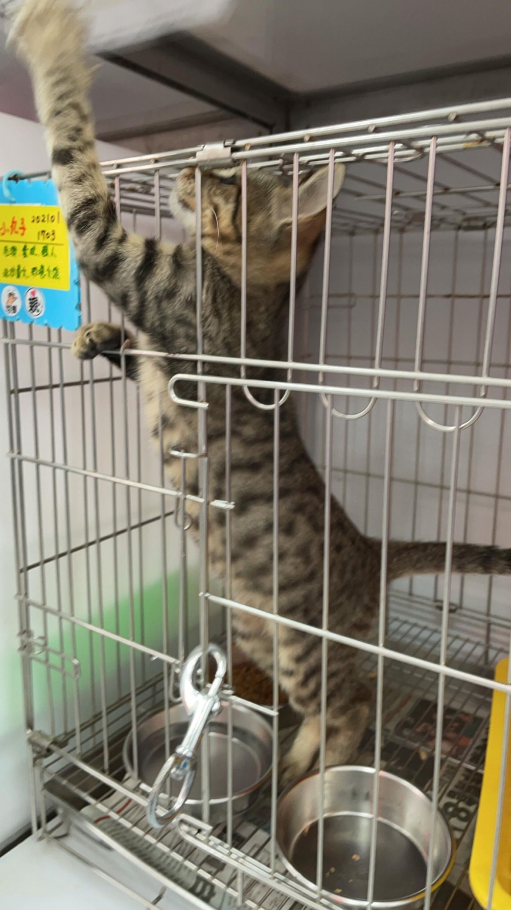 網友葉宗昀先生提供