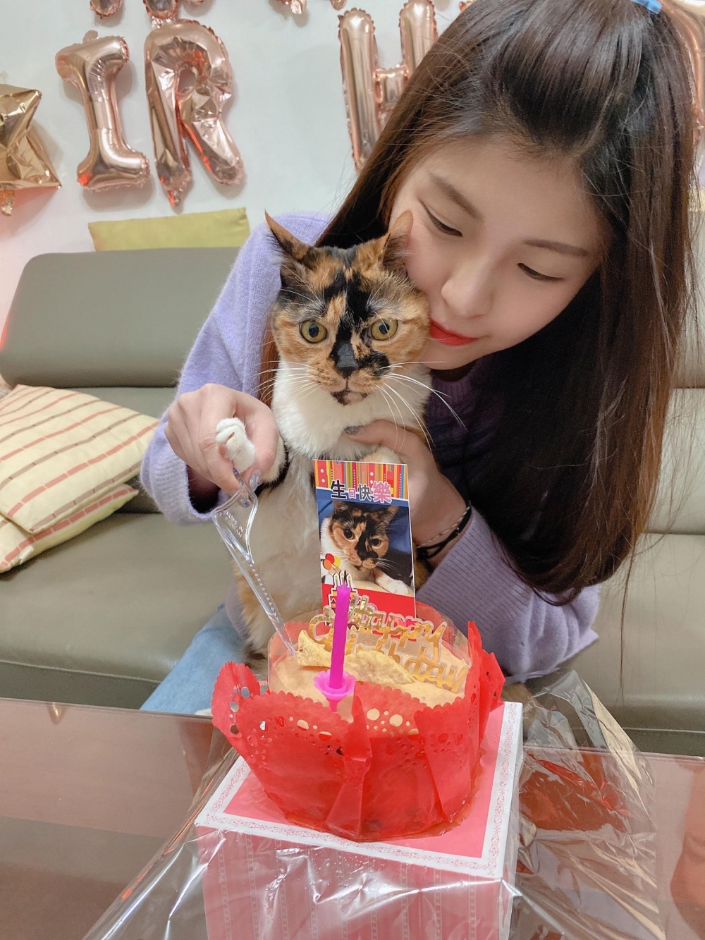 網友鄭婷予小姐提供
