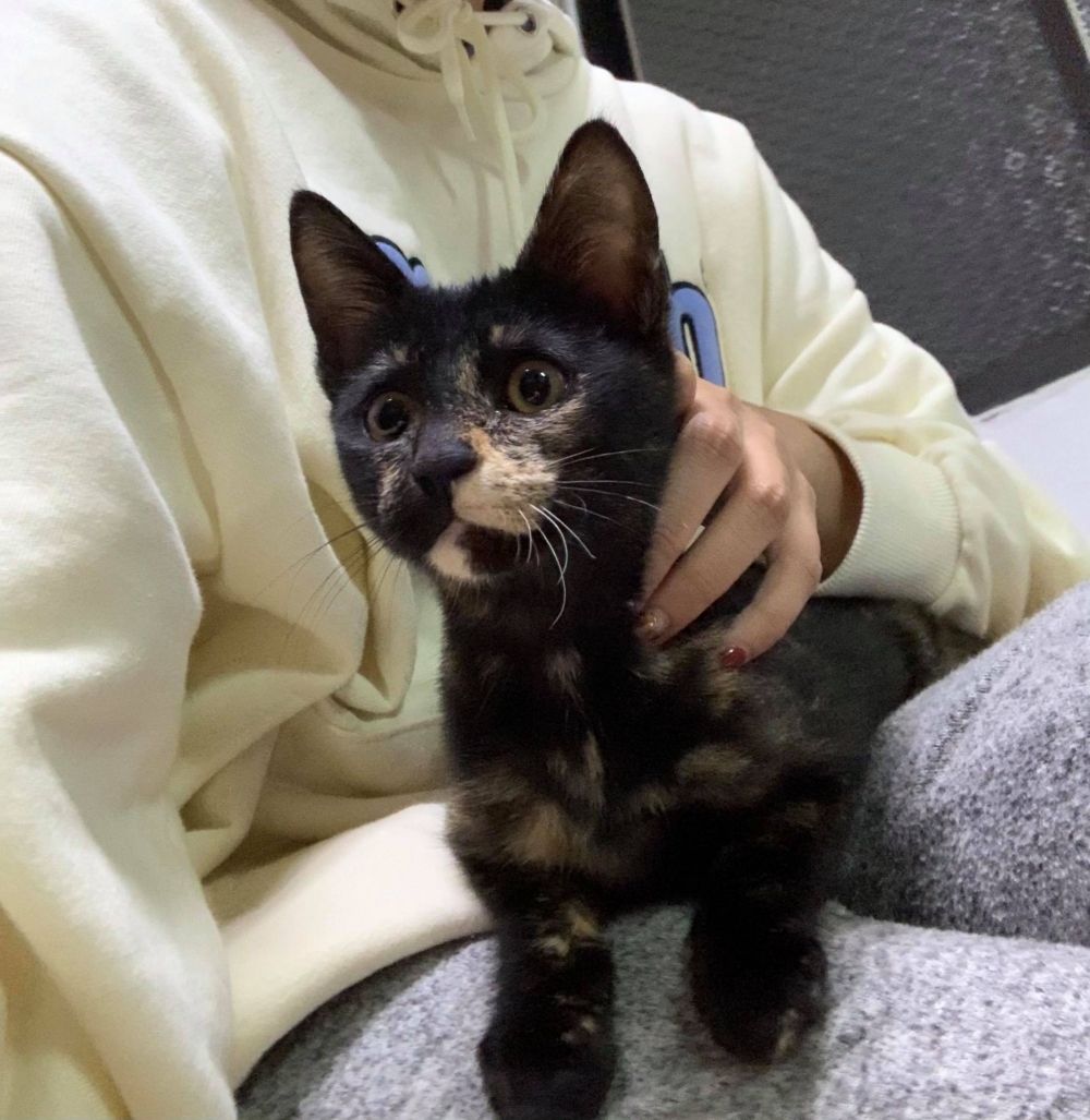 網友鐘心妤小姐提供