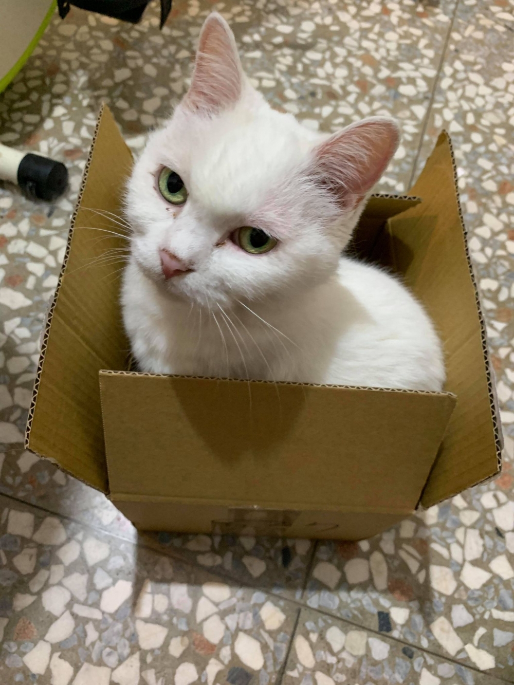 網友Mini Emilyn提供