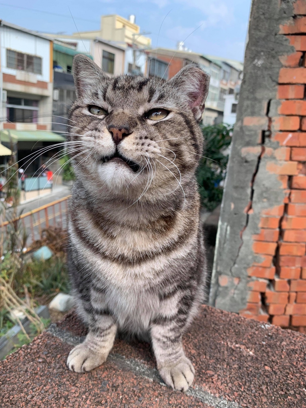 網友林佳欣小姐提供