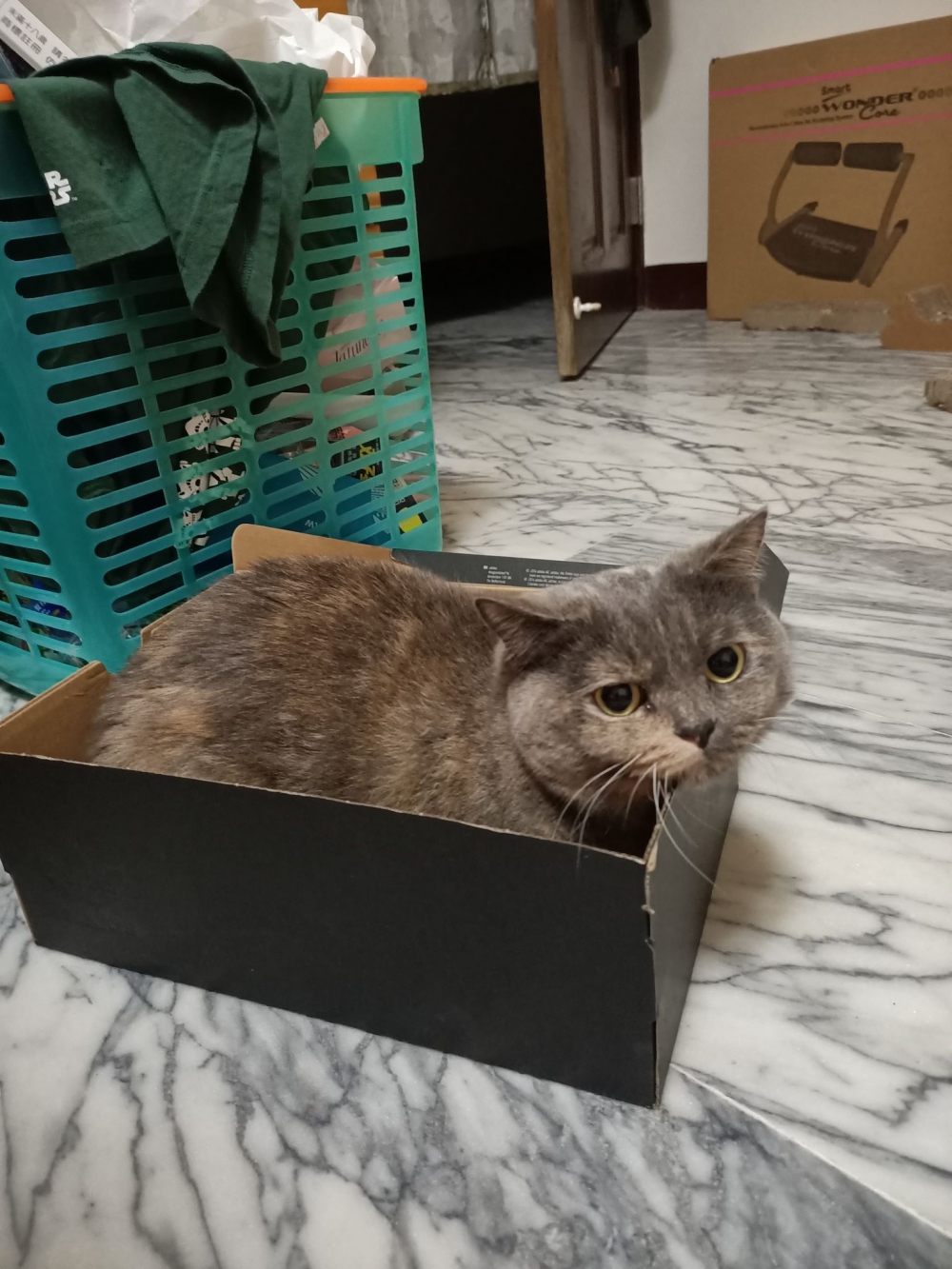 網友詹燿駿先生提供