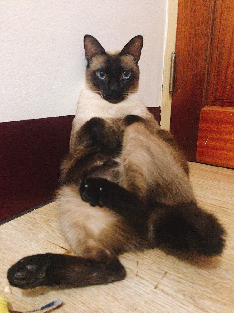 網友Juliann Chen提供