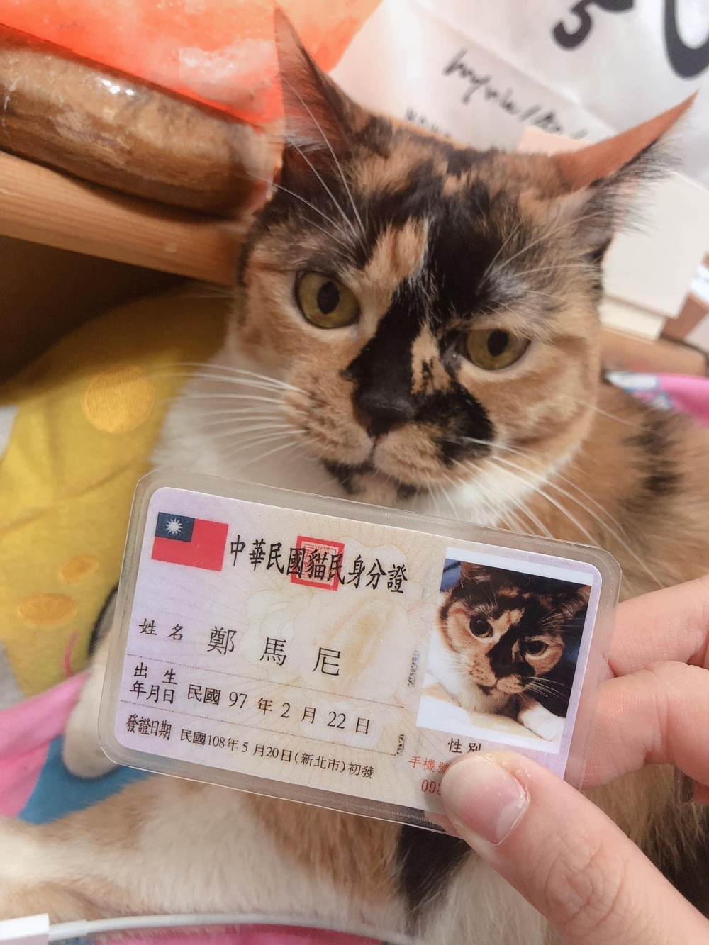 網友鄭婷予小姐提供