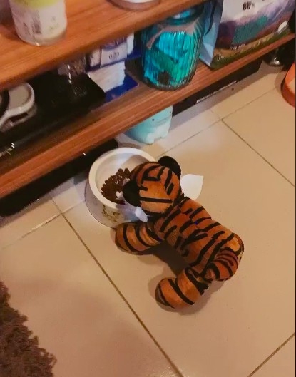 網友鐘心妤小姐提供