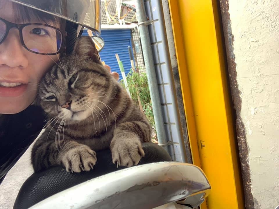 網友林佳欣小姐提供