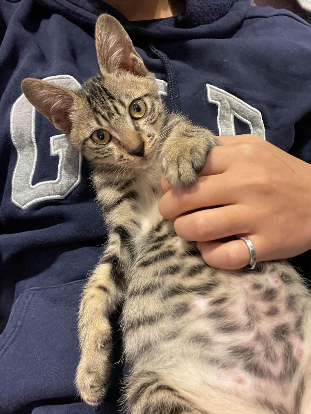 網友葉宗昀先生提供