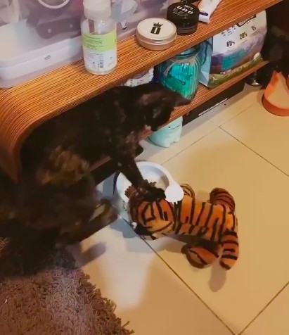 網友鐘心妤小姐提供