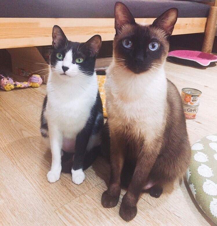 網友Juliann Chen提供